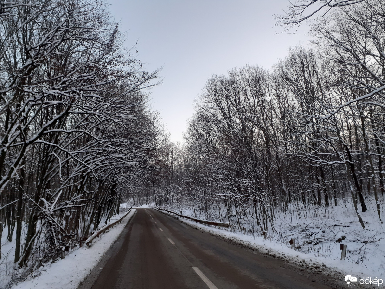 Téli erdő - 2021.01.16.