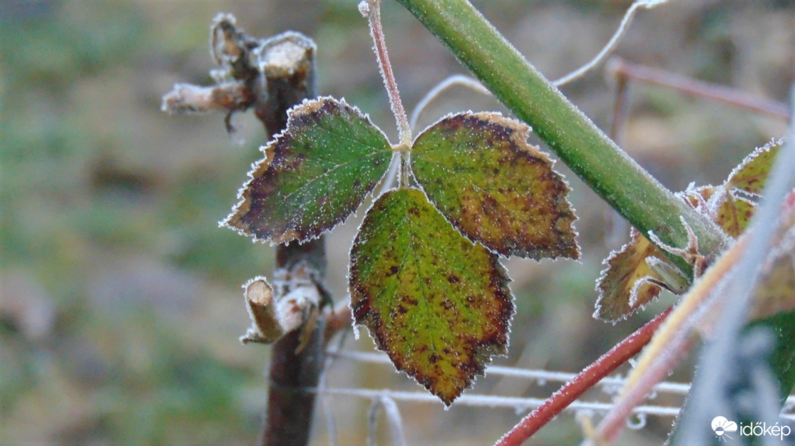 Téli ruha készülőben