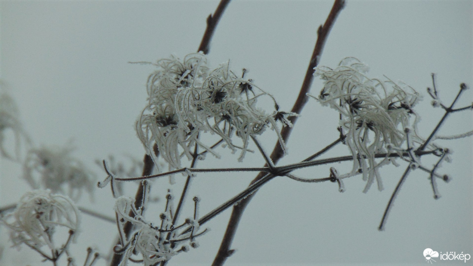 Zúzmara képződött