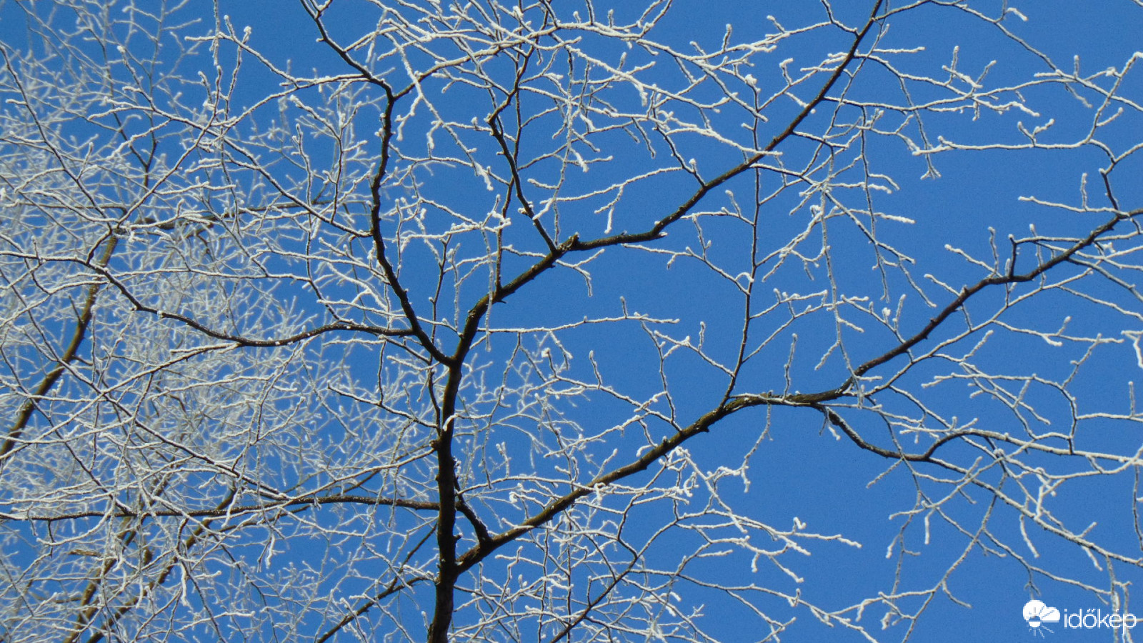 Behálózott égbolt