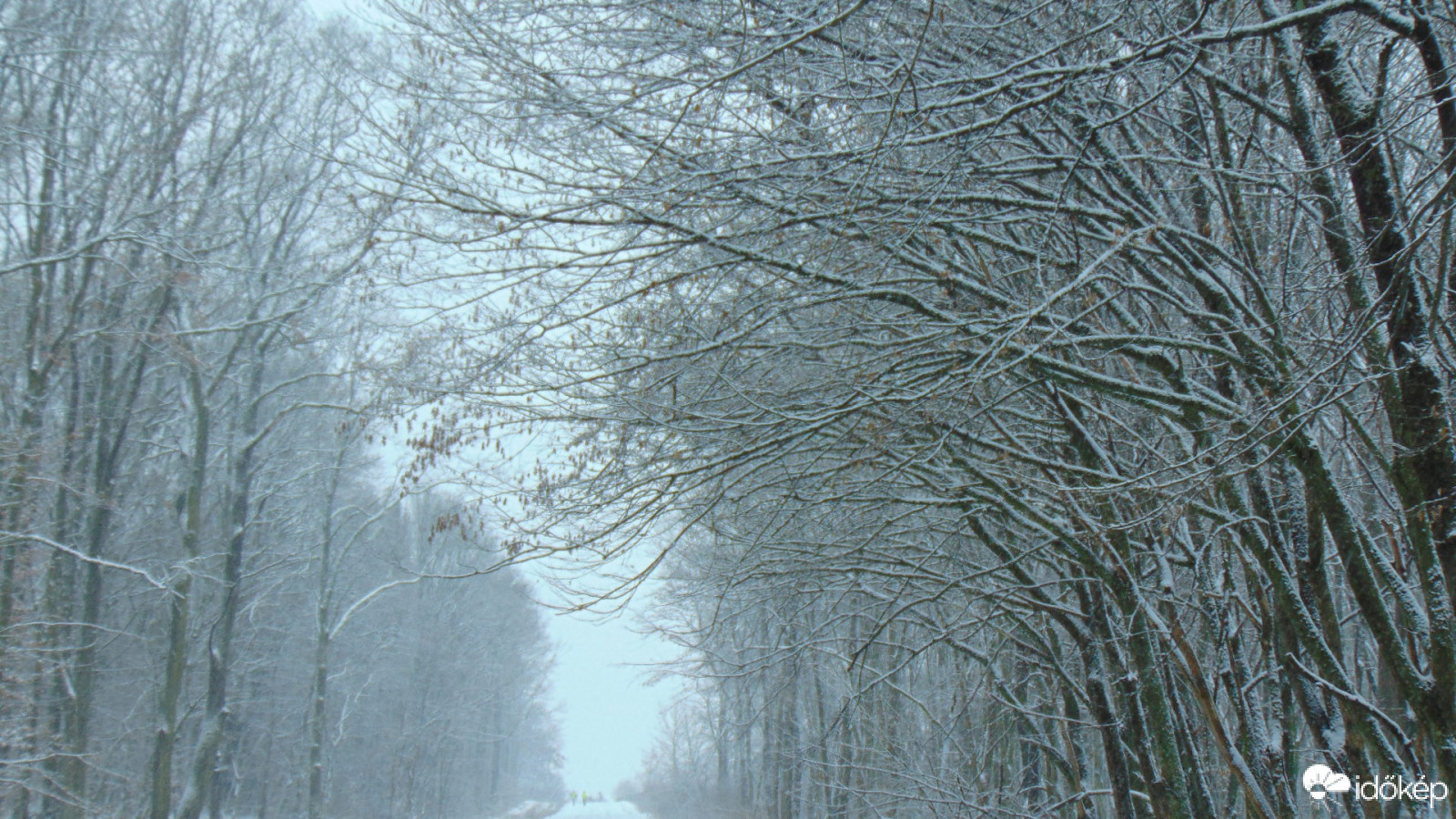 A zivatar után reggelre havas lett a táj...