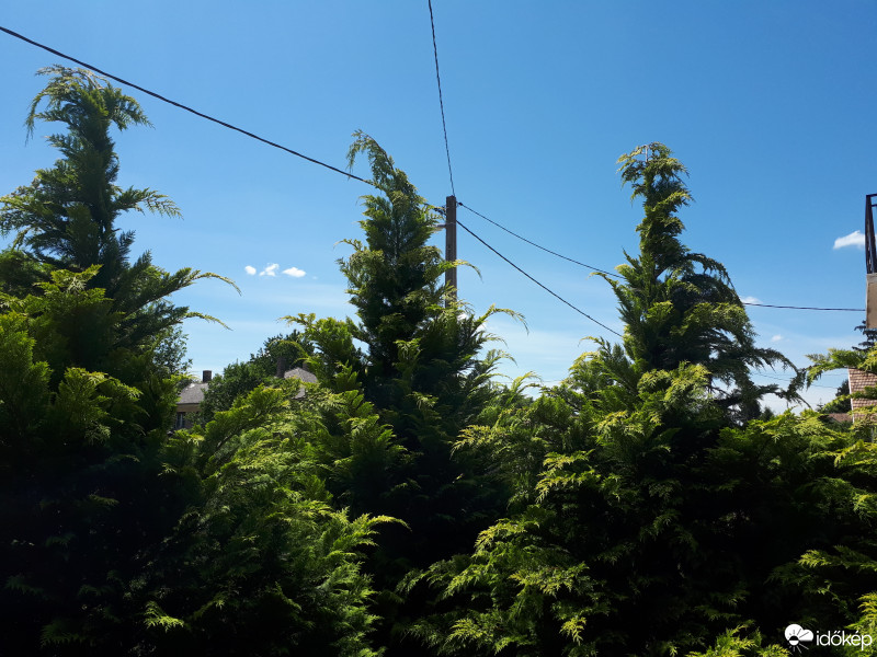 Észlelési fényképek