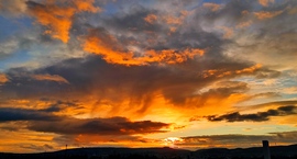 Virgákkal tarkított...