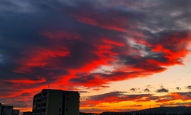 Vörös mintás naplemente