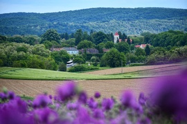 takacsakos fotója