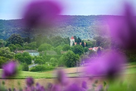 takacsakos fotója