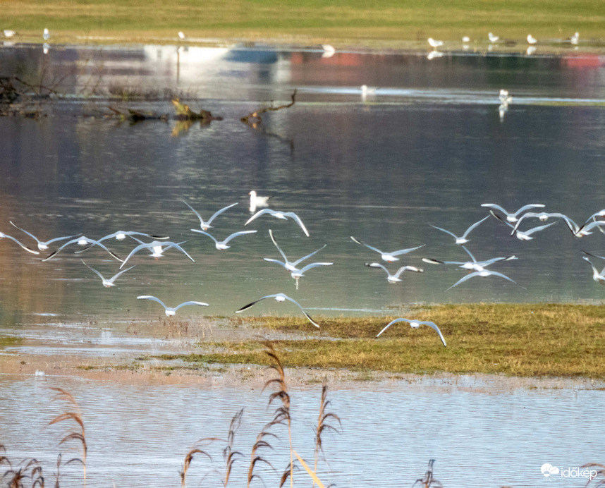 Belvíz kicsit más szemszögből!