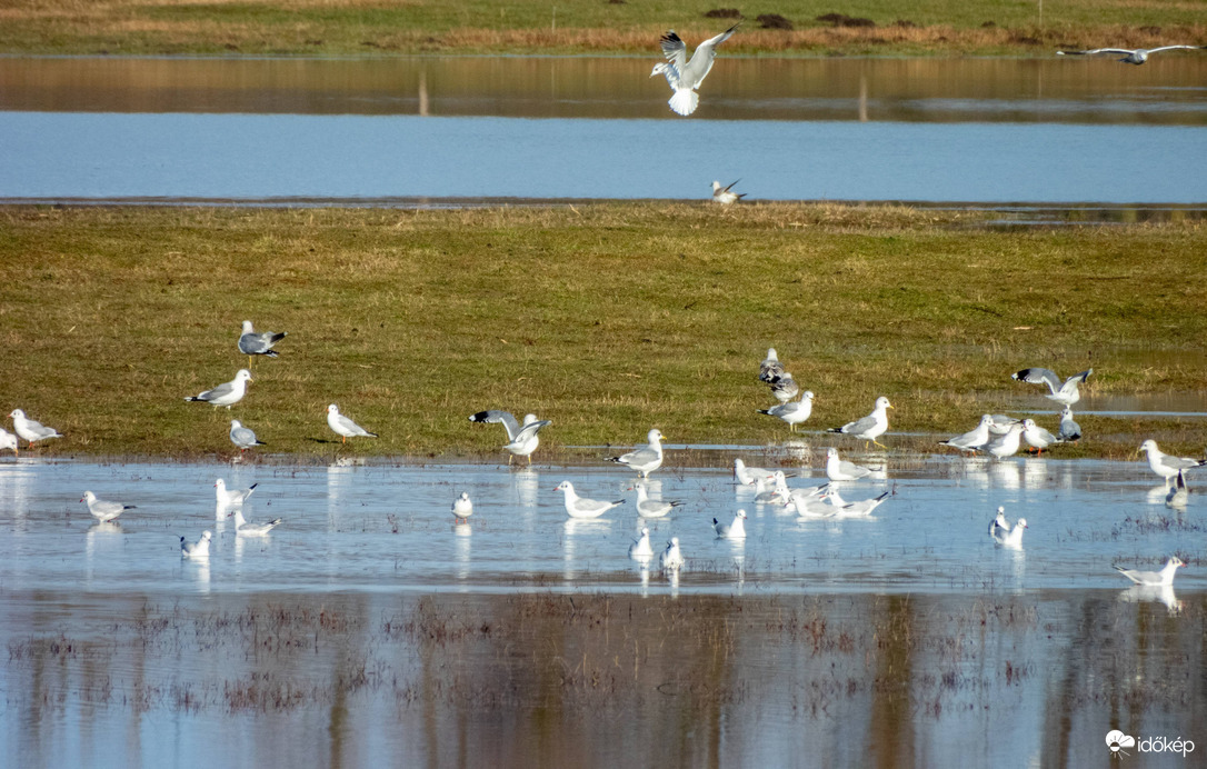 Belvíz kicsit más szemszögből!