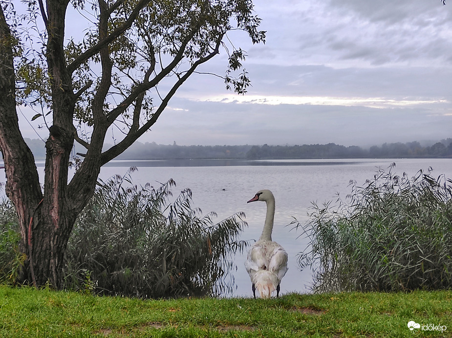 Kis-Balaton 
