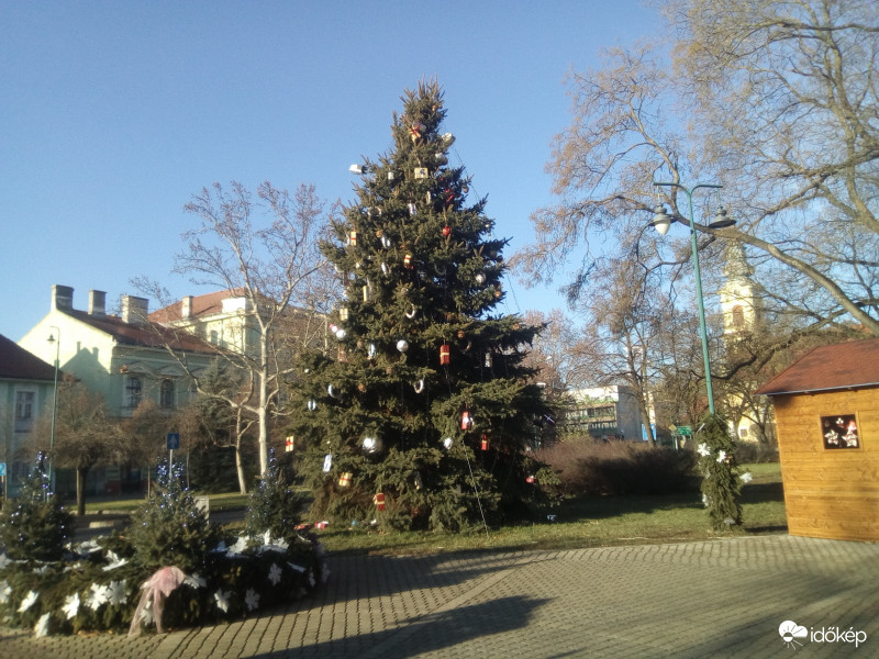 Békés Város karácsonyfája.