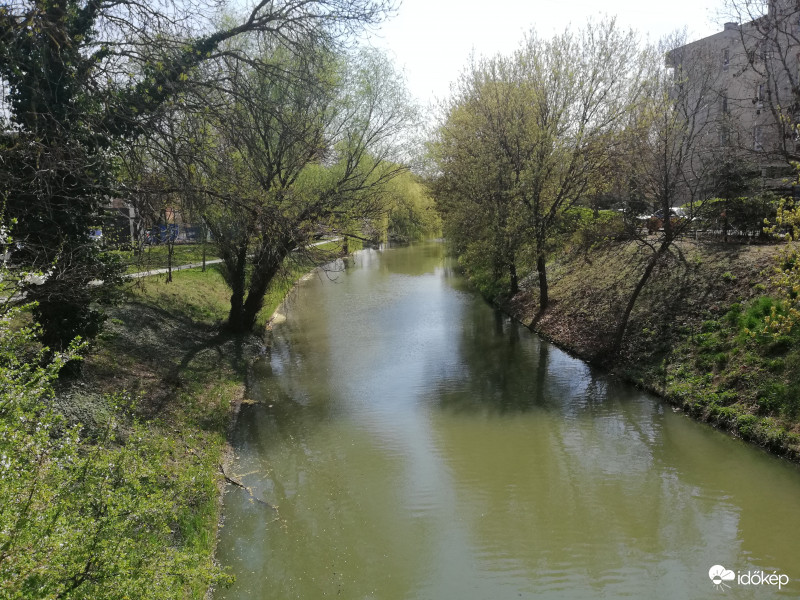 Élővizcsatorna Békés 