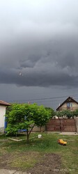 Gyula