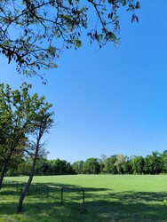 Maroslele
