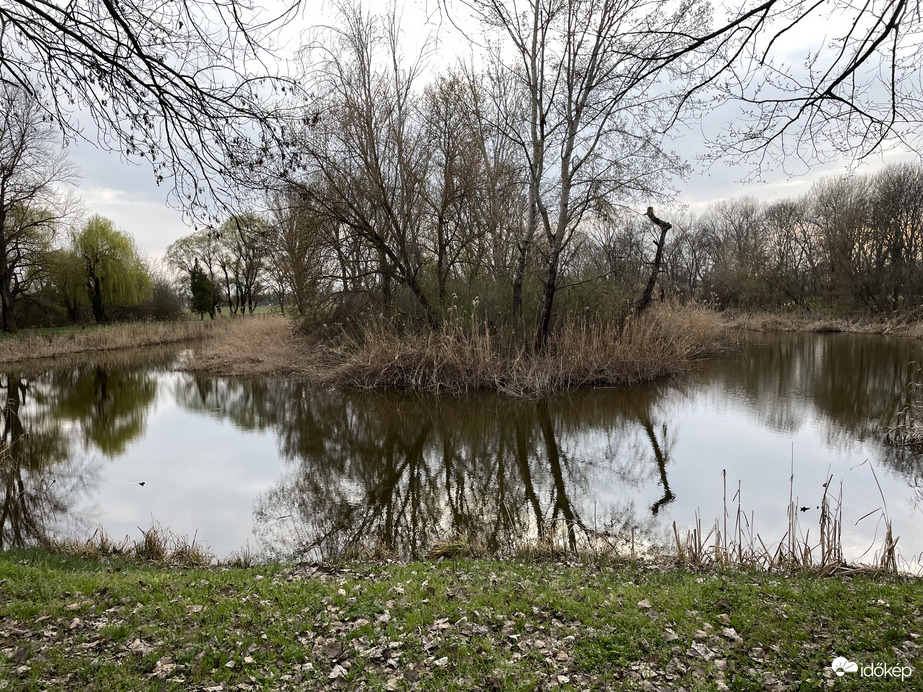 Természet
