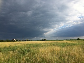 Sarud, Tisza-tó