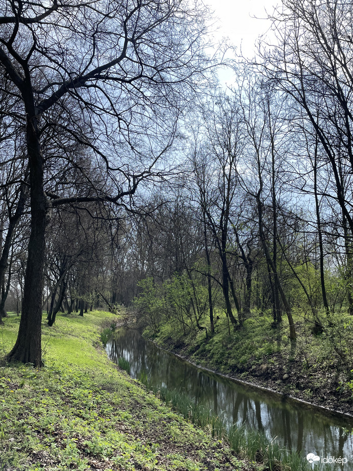 Természet