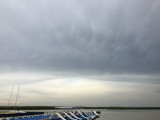 Sarud, Tisza-tó