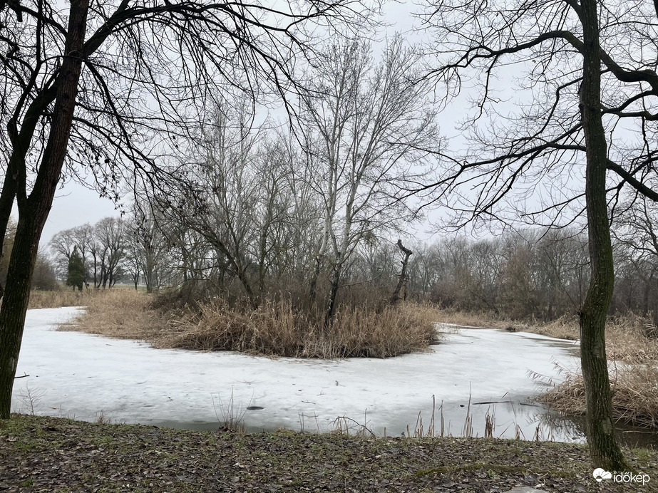 2721, Pilis Gerje-liget