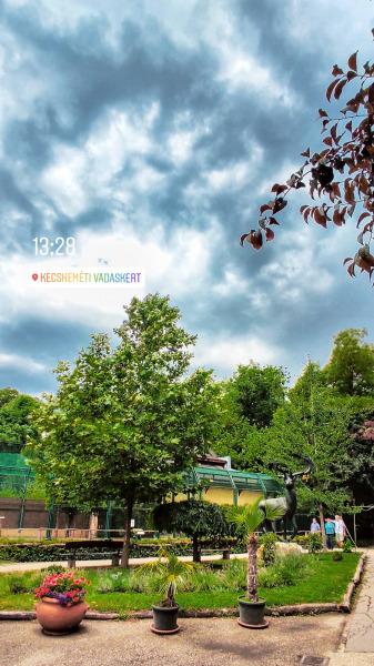 Zivatar előtti felhők a Kecskeméti Vadaskertben