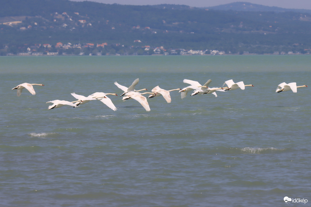 Természet