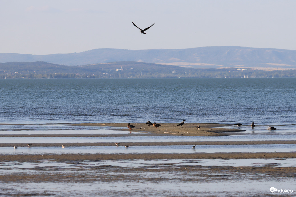 Balaton