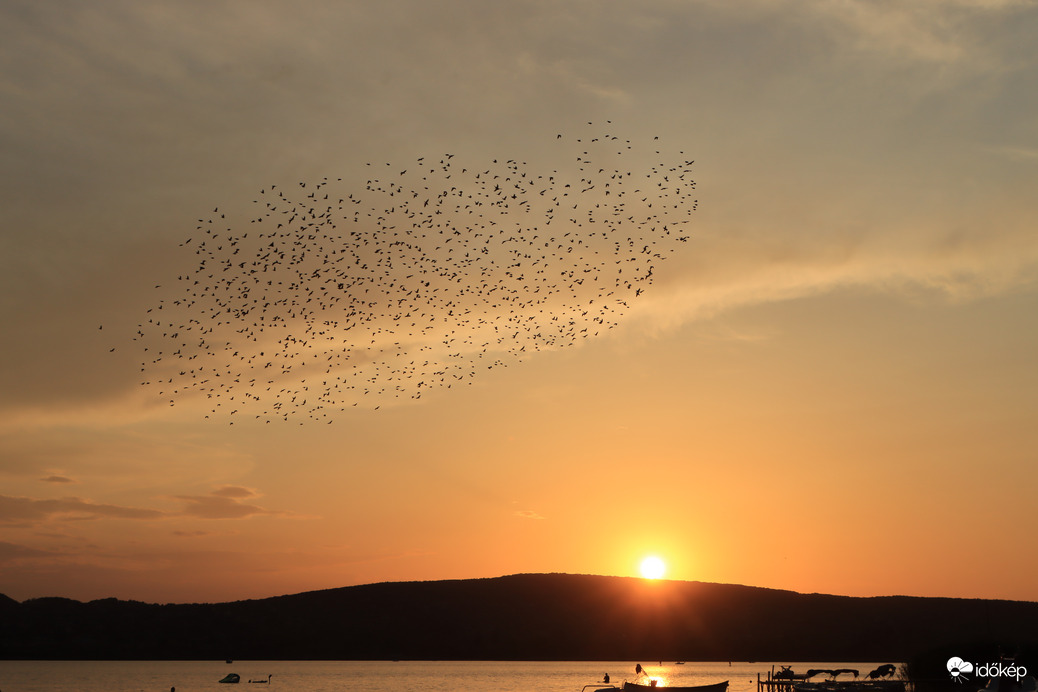Balaton