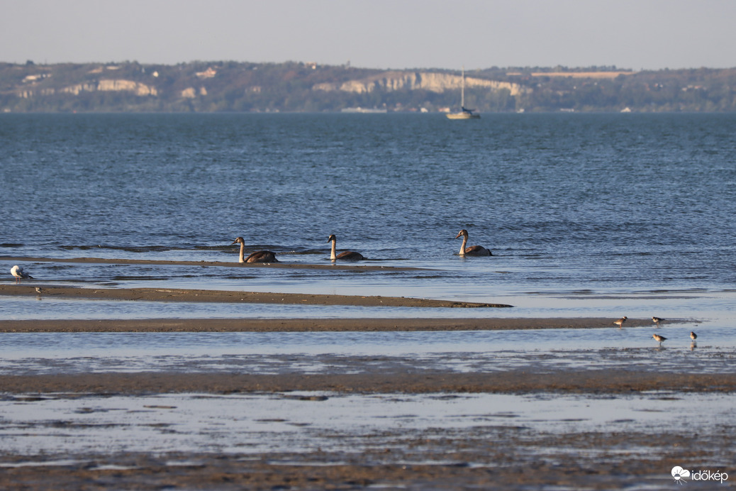 Balaton