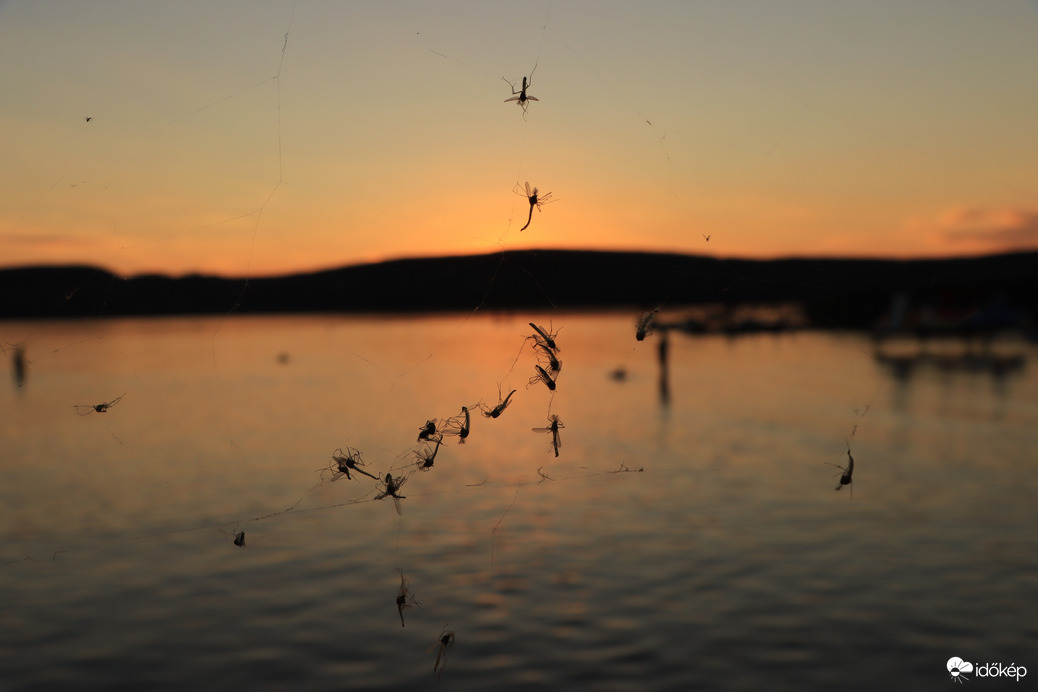 Balaton