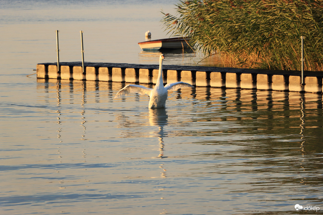 Balaton