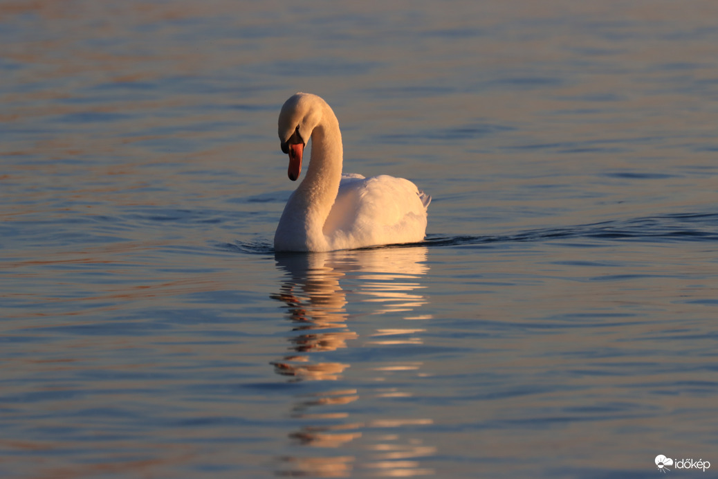 NAPLEMENTE FÉNYÉBEN