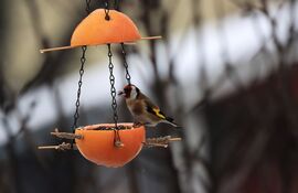 ESIK AZ ESŐ, JÓLESIK EGY KIS NASI!