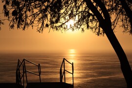 ARANYBAN RAGYOGÓ BALATON