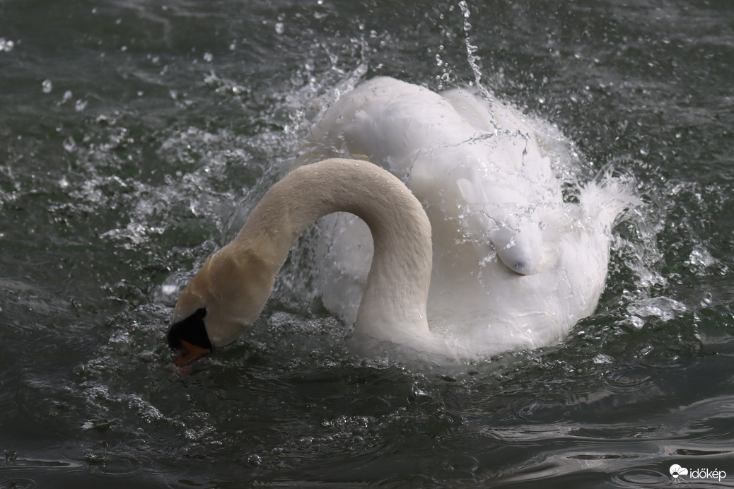 MÁRCIUSI FÜRDŐZÉS