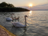 Balatonszemes