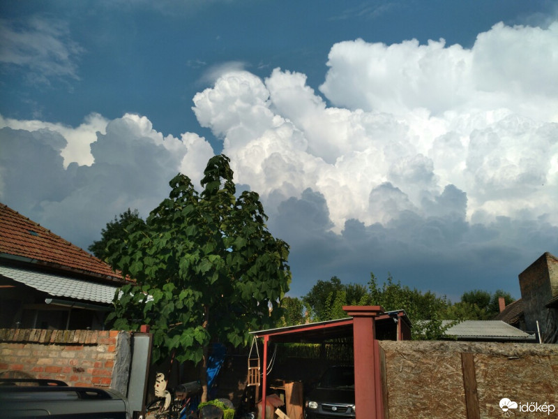 Észlelési fényképek