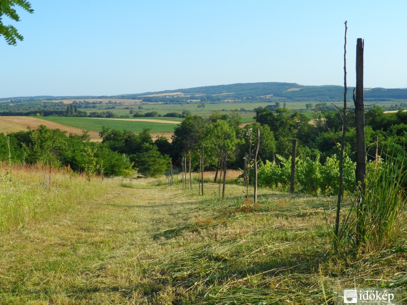 Egy szép nap Zalában