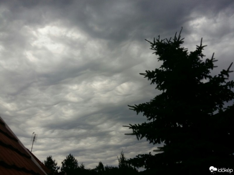 Észlelési fényképek