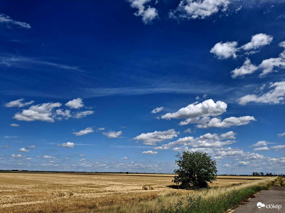 Tájkép
