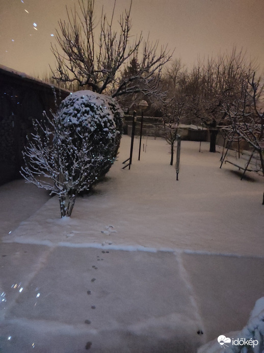 Észlelési fényképek