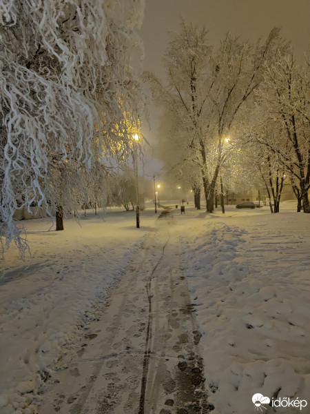 Észlelési fényképek