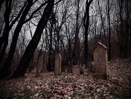 A hidden cemetery II.