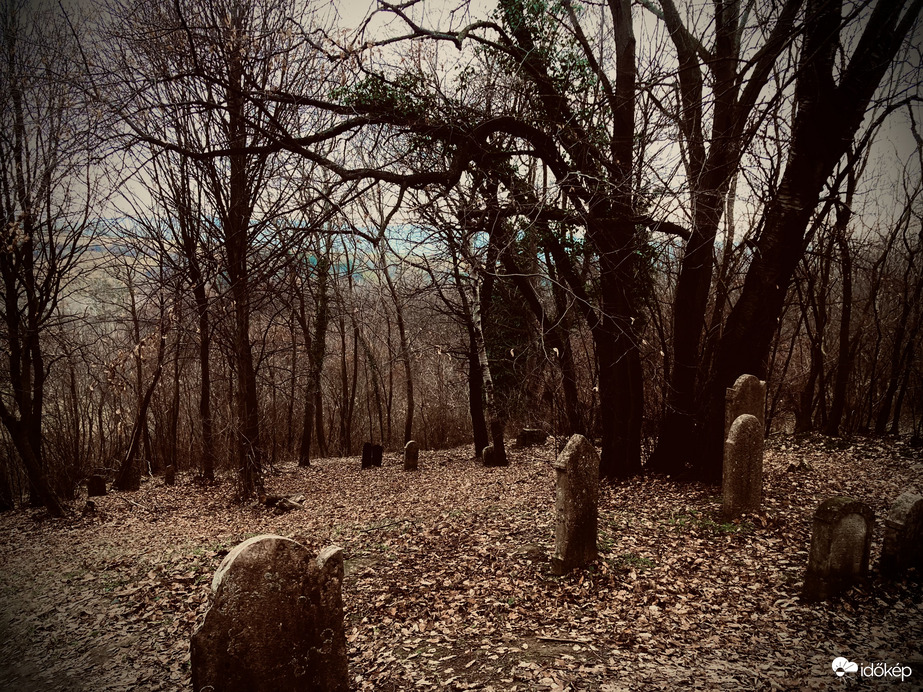 A hidden cemetery I.