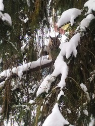 Egy kedves vendég :)