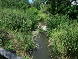 Ragály