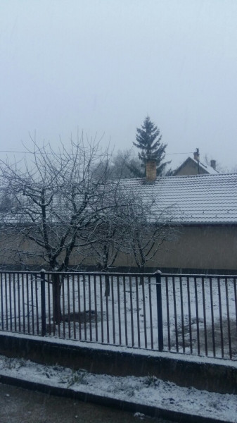Budakeszi