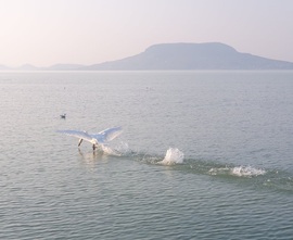 Budapest XXII.ker - Budafok