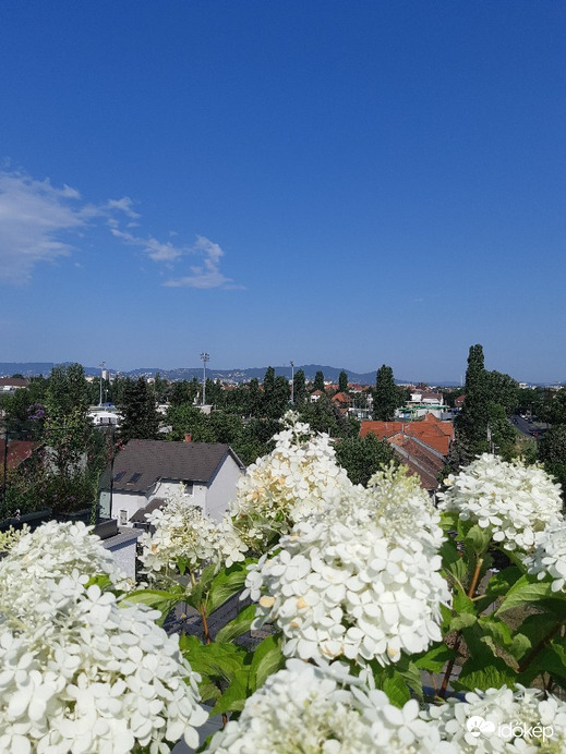 Budapest XIV. ker