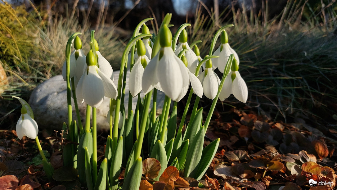 Észlelési fényképek