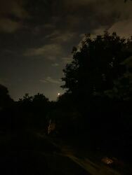 Budapest XVI.ker - Cinkota