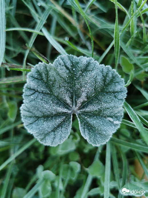 Októberi fagyos vasárnap